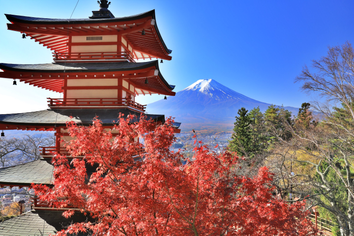 10 recommended sightseeing spots around Mt. Fuji in autumn: Oshino Hakkai, Oishi Park, and more