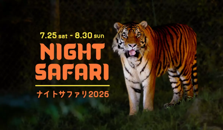 涼しい夜に動物観察「富士サファリパーク・ナイトサファリ2026」