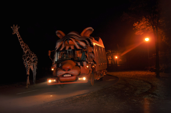 Enjoy animal observation on a cool evening at "Fuji Safari Park Night Safari 2026".