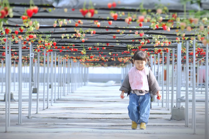 「農マル園芸 あかいわ農園」で桃づくしの夏を満喫！｜岡山県赤磐市