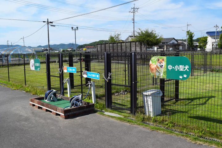 「農マル園芸 あかいわ農園」で桃づくしの夏を満喫！｜岡山県赤磐市
