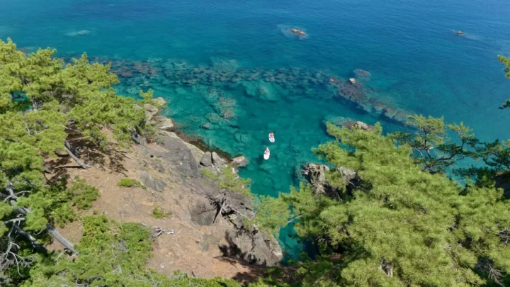 高濱海灘旅遊季完全指南:盡情享受福井美麗的海岸線和清澈的海水!