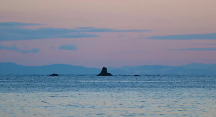 高濱海灘旅遊季完全指南:盡情享受福井美麗的海岸線和清澈的海水!