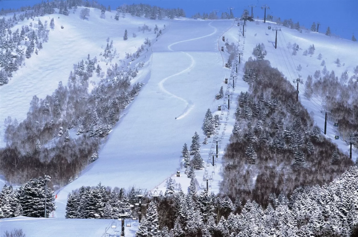 Shiga Kogen Olympic Course