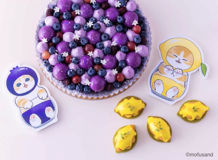 Blueberry Cat Tart