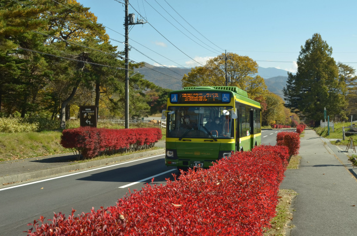 【距離東京約2小時車程】山梨縣北杜市秋色迷人！無需開車即可遊覽清里的旅遊路線。