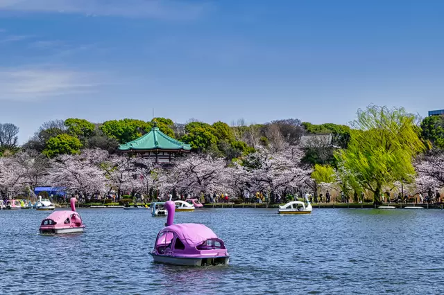 上野恩賜公園