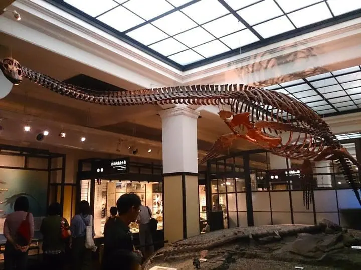 國立科學博物館日本館