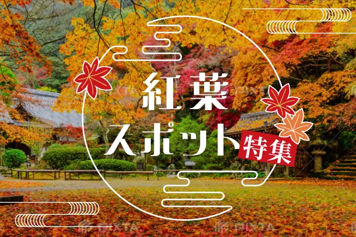 2026年紅葉特集