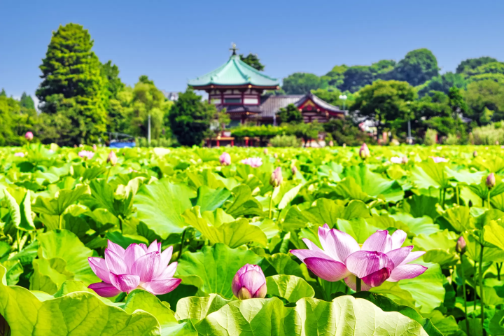 不忍池辯天堂
