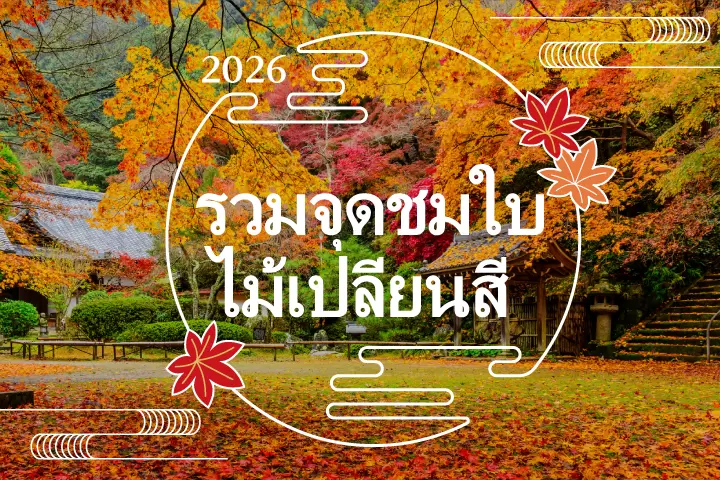 รวมจุดชมใบไม้เปลี่ยนสี 2026