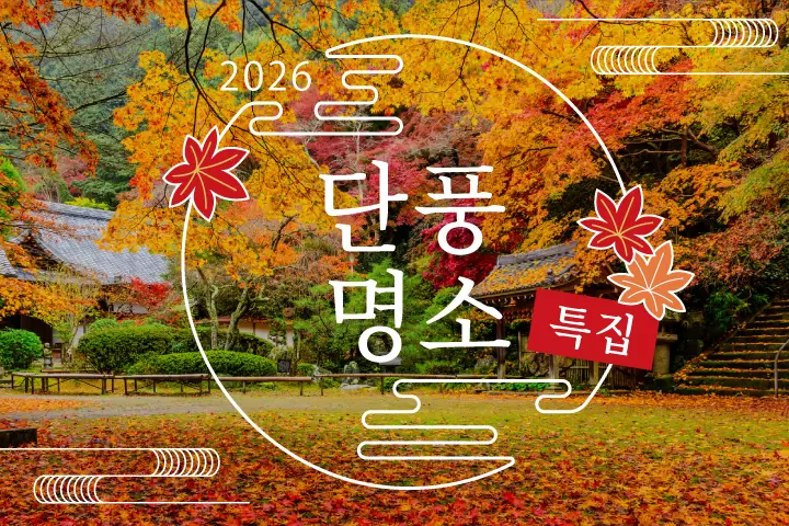 2026년 단풍 명소 특집