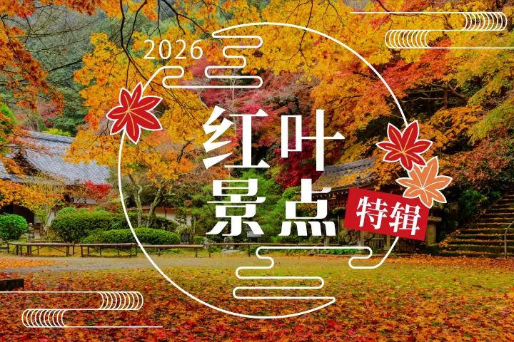2026年红叶景点特辑