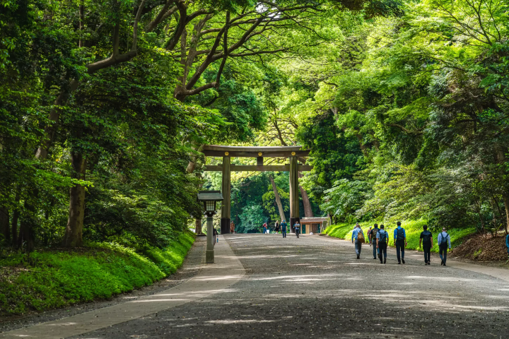 明治神宮參拜步道