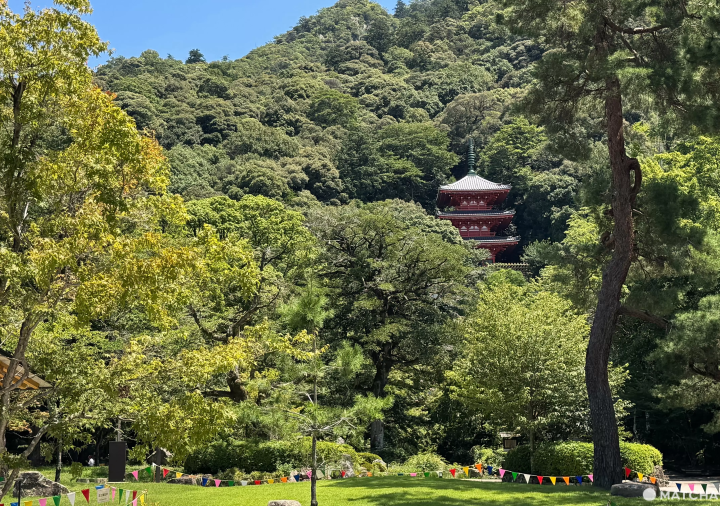 【岐阜】岐阜1泊2日はこう遊ぶ!古き良き街並みの川原町を散歩して、伝統工芸を体験し、日本三大山城の夜景を楽しむ旅