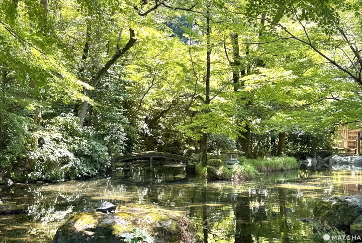 【岐阜】岐阜1泊2日はこう遊ぶ!古き良き街並みの川原町を散歩して、伝統工芸を体験し、日本三大山城の夜景を楽しむ旅