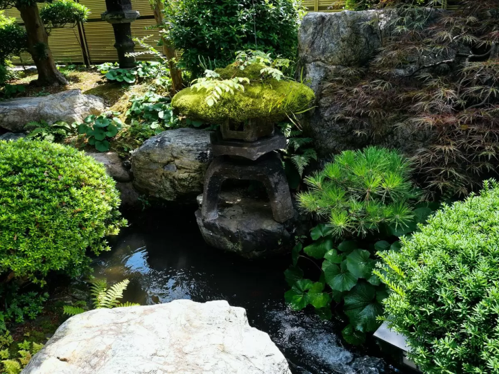 【高浜町】ふぐ料理・五作荘で夏のコースを堪能