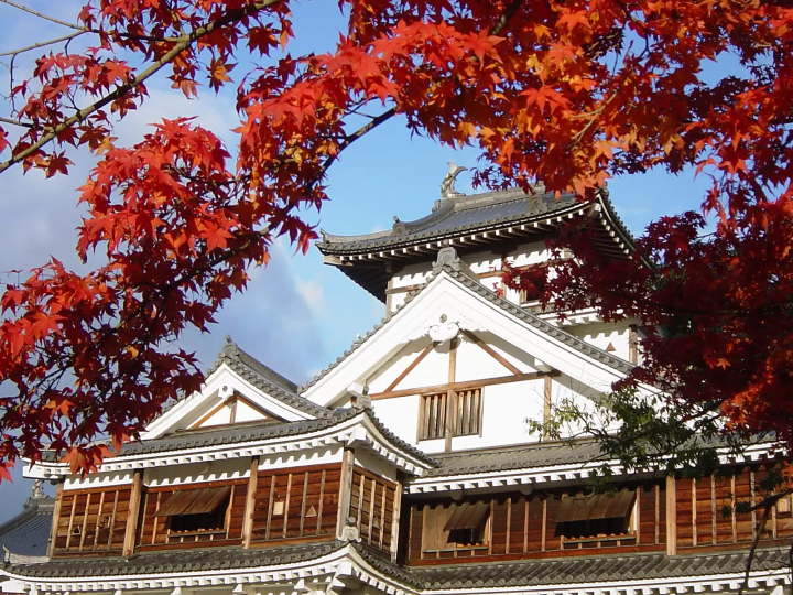 【2026版】京都府福知山市7個必去賞楓景點 | 令人嘆為觀止的自然美景