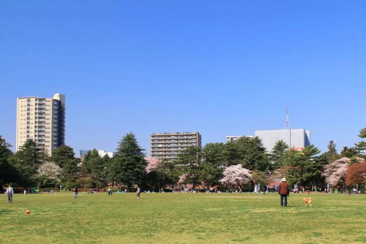 榴岡公園