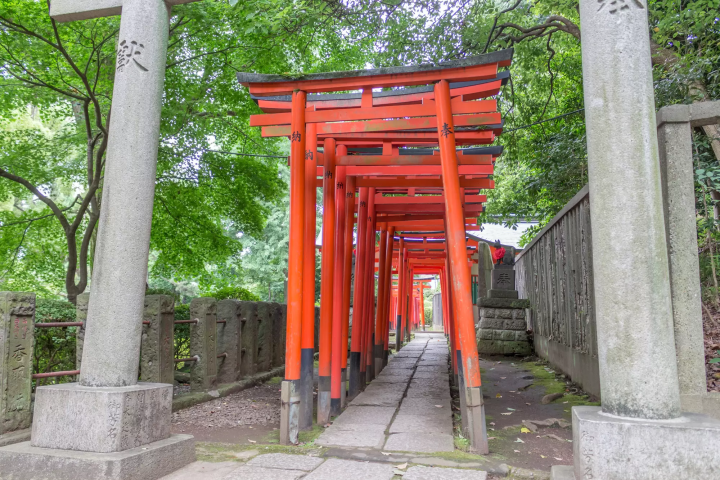 Nezu Jinja Shrine