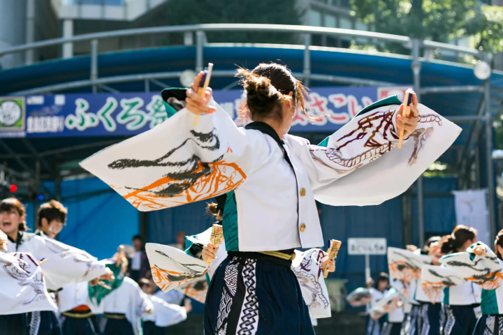 Tokyo Events in September: Festivals, Sumo, and Fall Flowers