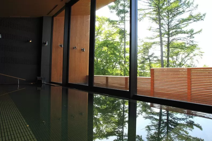 The Prince Villa Karuizawa Forest Hot Spring