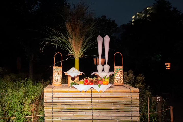 Moon Viewing Party at Tokyo's Mukojima-Hyakkaen Gardens