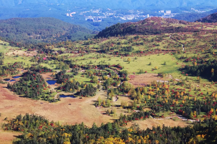[Gunma, Nakanojo] Shima Blue and the hidden autumn scenery! A tour of spectacular autumn foliage spots