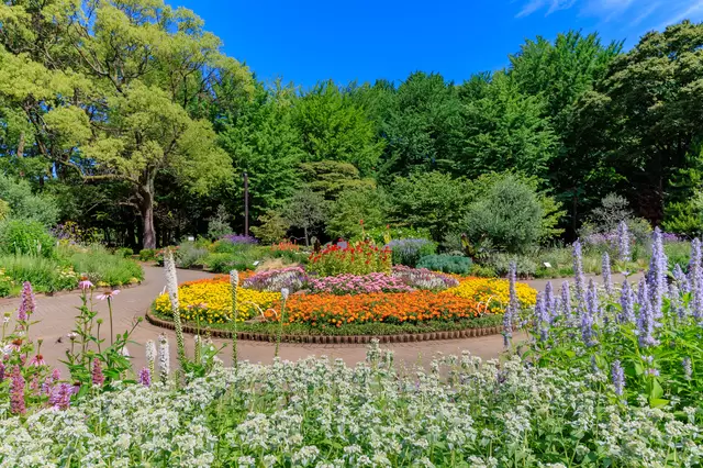 代々木公園