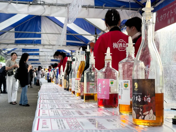 只怕你喝不完！上野公園「全國梅酒祭典 in 東京 2026」