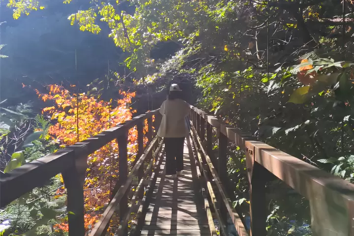 尾白川渓谷 吊り橋