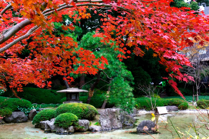 Grand Prince Hotel Takanawa garden