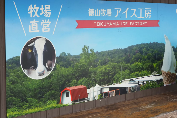 Six refreshing sweets from southwestern Okayama Prefecture