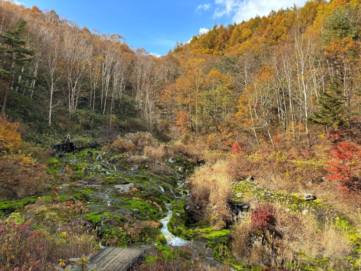 [Gunma, Nakanojo] Shima Blue and the hidden autumn scenery! A tour of spectacular autumn foliage spots
