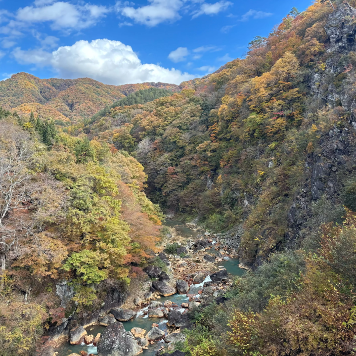 [Gunma, Nakanojo] Shima Blue and the hidden autumn scenery! A tour of spectacular autumn foliage spots