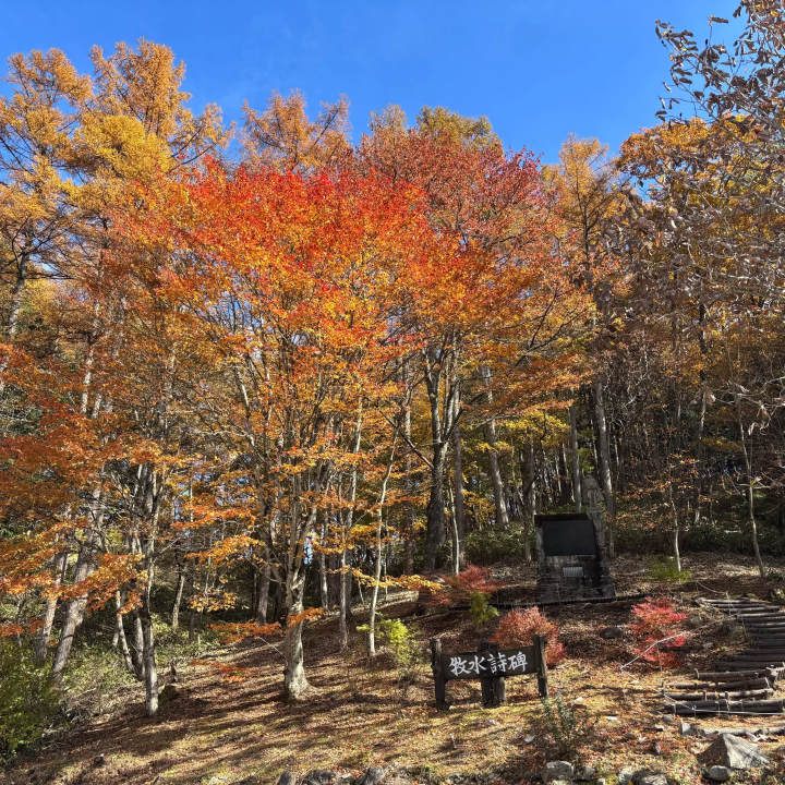 [Gunma, Nakanojo] Shima Blue and the hidden autumn scenery! A tour of spectacular autumn foliage spots