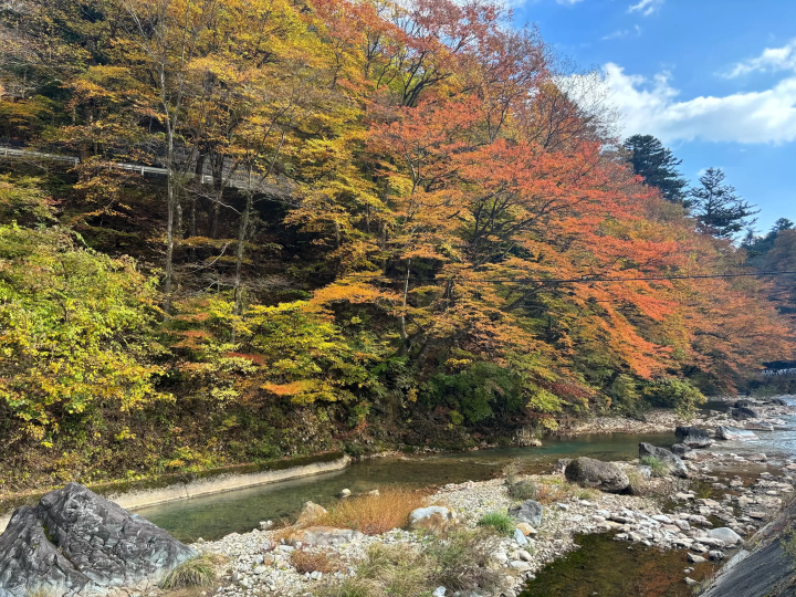 [Gunma, Nakanojo] Shima Blue and the hidden autumn scenery! A tour of spectacular autumn foliage spots