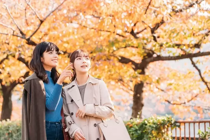 Tokyo Weather by Month: Temperatures and What to Wear