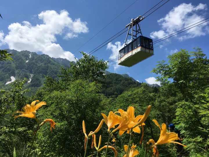 【超人氣】名古屋直達立山黑部山脈立山的巴士之旅!