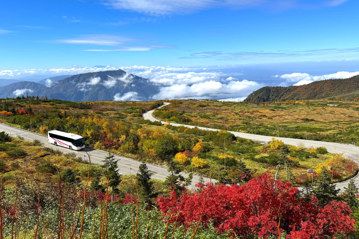 【超人氣】名古屋直達立山黑部山脈立山的巴士之旅!