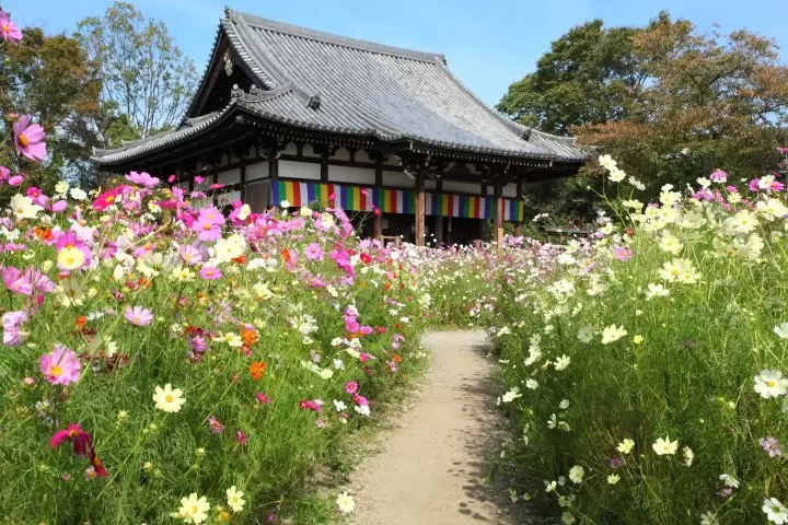 Hannyaji Temple