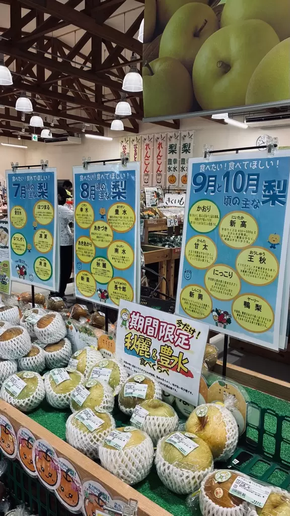 [도쿠시마 도쿠시마현 나루토시 ] 나루토 배를 즐겨보세요!