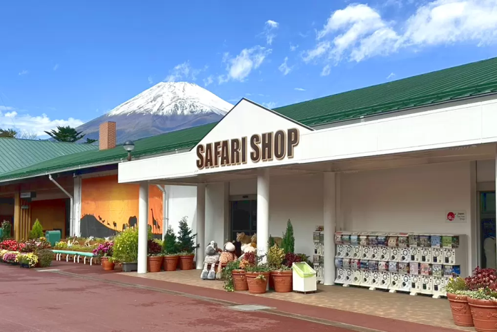[ชมวิวสุดตระการตา] ขอแนะนำจุดชมวิวภูเขาไฟฟูจิที่ Fuji Safari Park!