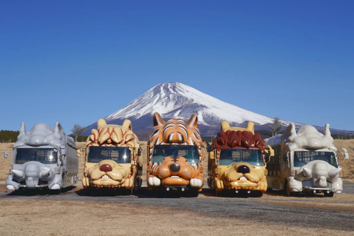 [ชมวิวสุดตระการตา] ขอแนะนำจุดชมวิวภูเขาไฟฟูจิที่ Fuji Safari Park!