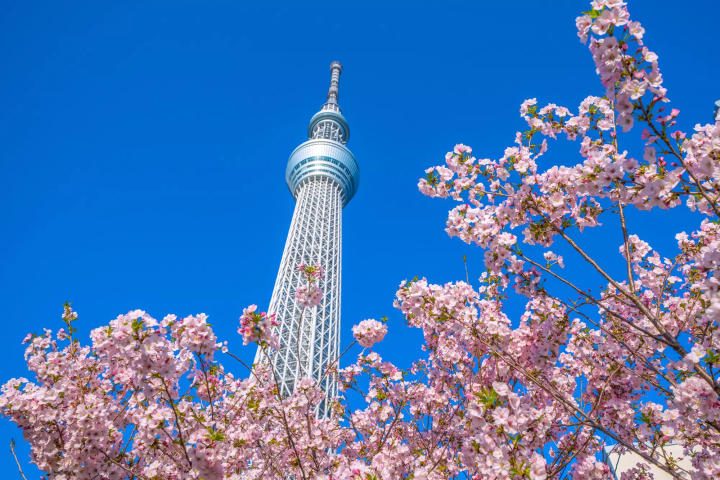 【2026】「東京晴空塔」完整攻略！除了看夜景還有什麼可以玩？