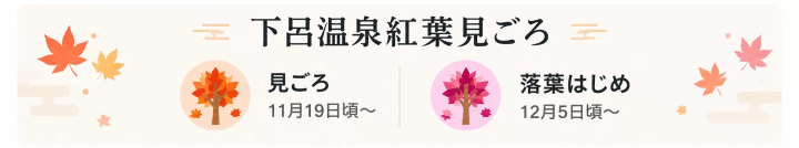 *截至2026年9月3日，秋季赏叶的最佳时间预计为[日期]。但具体时间可能会因未来的气温和天气状况而有所变化。 