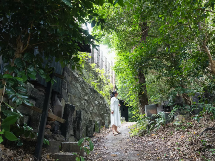 [Aichi, Tokoname] Feature Articles on the film "Swans and Bats"
