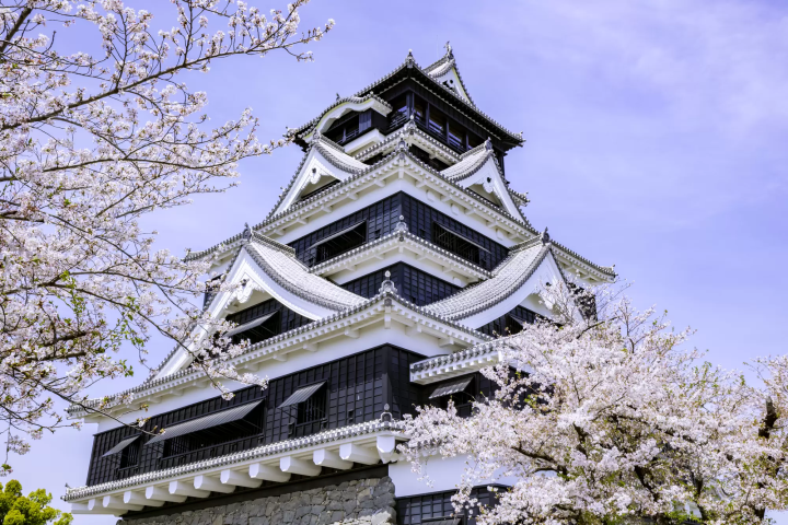【2026熊本城最新攻略】現在修好了嗎？門票、天守閣、修復進度＆交通一次看