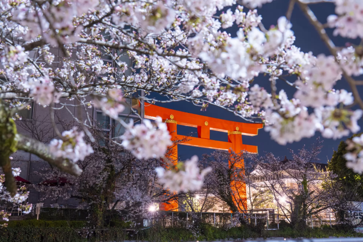 2026京都朱紅神社「平安神宮」攻略！門票、交通、神苑、櫻花＆時代祭