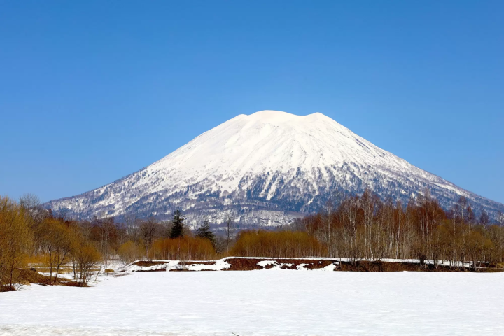 北海道粉雪代表「新雪谷安努普利國際滑雪場」